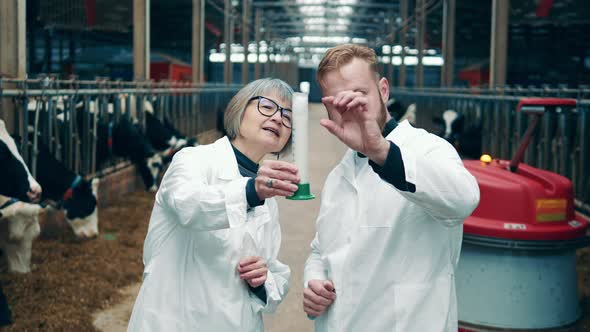 Two Farm Experts are Observing a Tube with Raw Milk