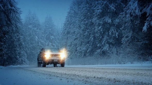 Cars In Snowy Forest In The Evening