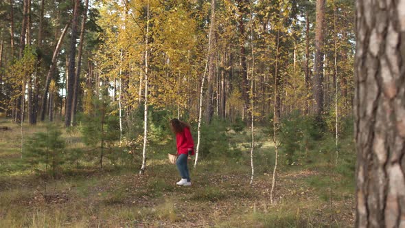 A Girl Collects Mushrooms in a Beautiful Forest