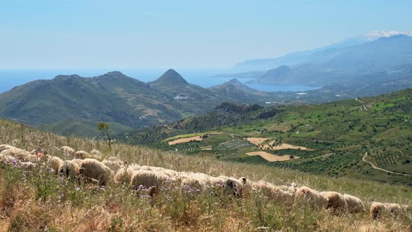 Aerial View of Crete Island in Greece