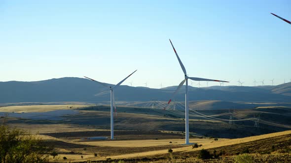 Wind Tribunes and Landscapes