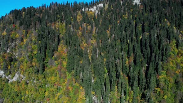 Aerial View of Forested Mountain Peak on the Clear Sky Background