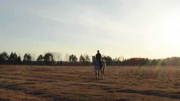 Horse Rider in the Early Morning