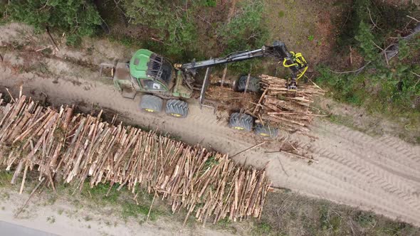 Deforestation for Industrial production, mechanical gripper loading lumber on large stack