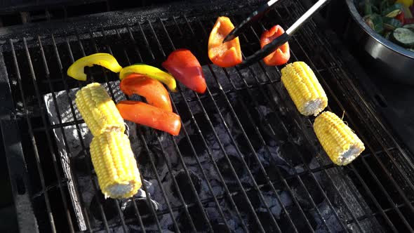 Fresh Grilled Vegetables on Barbecue for Dinner