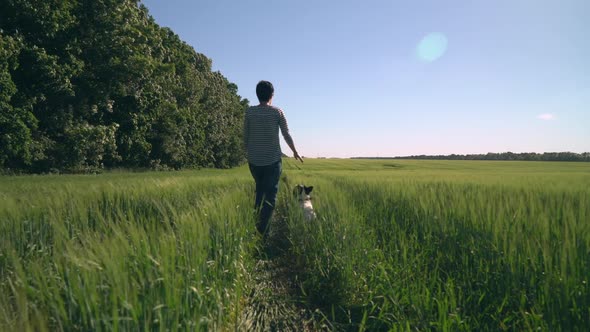 Woman Stroll with French Bulldog at Field