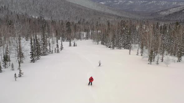 Aerial View of Freeride in a Snowy Forest