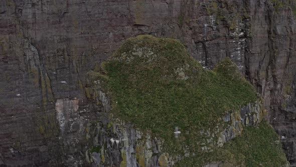 Drone Of Asmundarstakkur Sea Stack With Seagulls