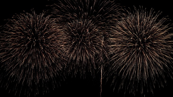 Firework New Year Countdown