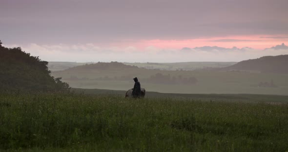 Evening Pasture Cow Man Rain