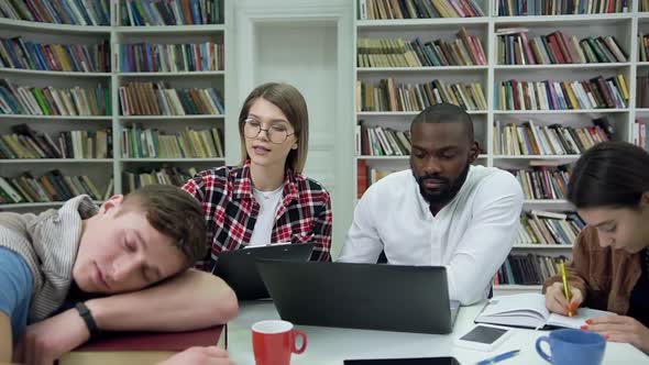 Young Multiethnic People Working Together Over Home Task in the Library while Smiling Girl Waking 