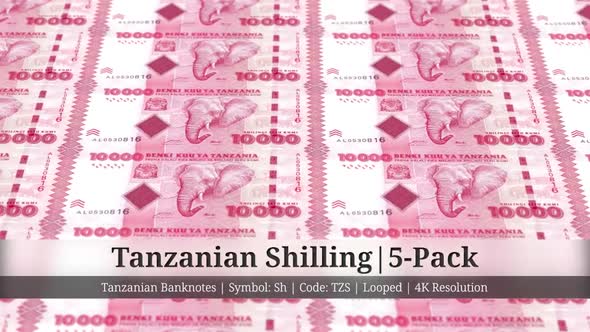 Tanzanian Shilling | Tanzania Currency - 5 Pack | 4K Resolution | Looped