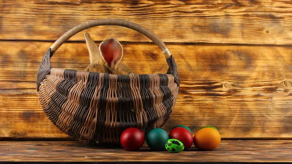 Little Brown Fluffy Cute Rabbit Sits in a Wicker Basket with Multicolored Assorted Easter Eggs on a