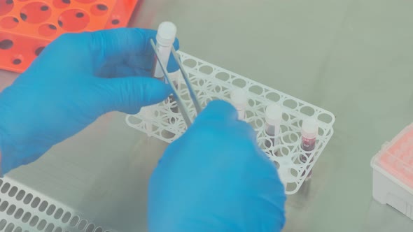 Work on Samples of Substances is Carried Out in the Laboratory alt