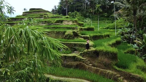 Young Woman in Black Dress Walks in Rice Terrace