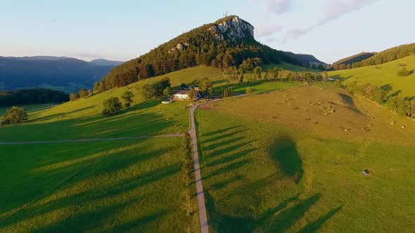 swiss highland Jura cow range