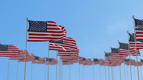 United States Row Of Flags Animation alt