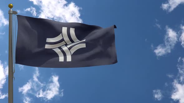 Thornton City Flag Colorado (Usa) On Flagpole