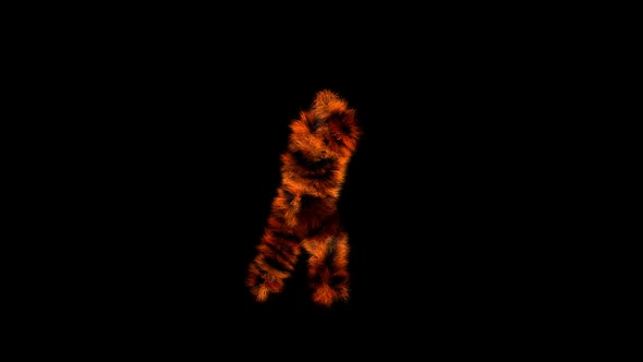 Tiger Party Dancer