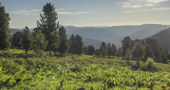 Mountain Meadow Timelapse. Wild Nature and Rural Field. Clouds, Trees, Green Grass and Sun Rays