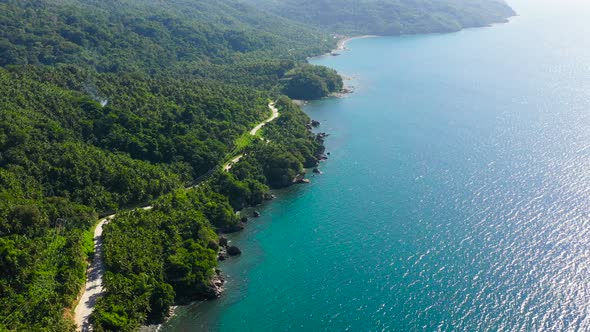 Road Along the Sea Top View