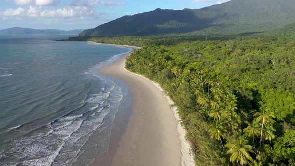 Cape Tribulation aerial of sunny Myall beach with palm trees, in Daintree Rainforest, Queensland, Au