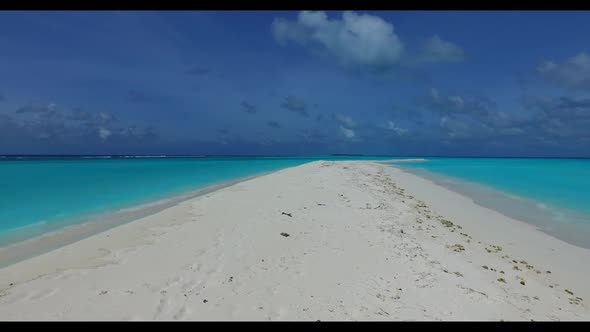 Aerial drone sky of luxury lagoon beach wildlife by blue green ocean with white sand background of a