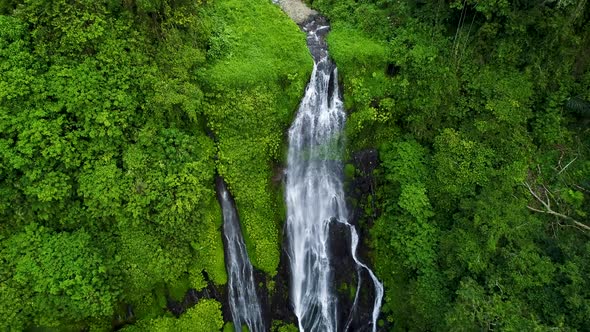 Beautiful Tropical Waterfall in Green Rainforest