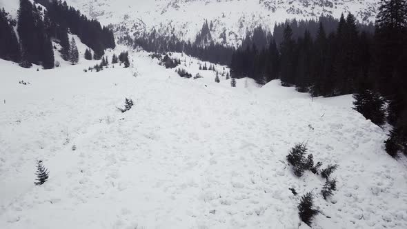 Avalanche runout zone in the alps, Austria, Kleinwalsertal, bad weather