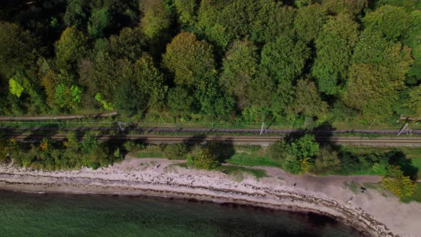 Drone Over Sea And Train Track Next To Lush Urban Forest