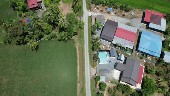 The Paddy Rice Fields of Kedah and Perlis, Malaysia