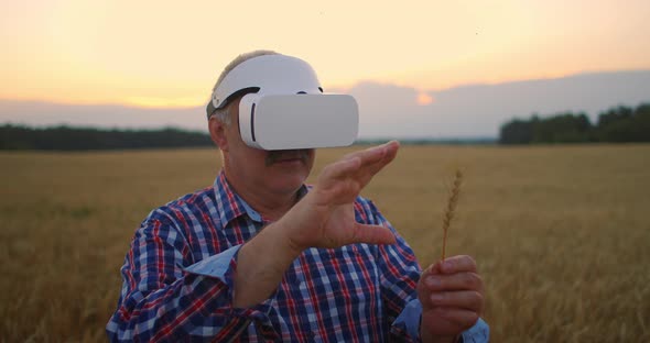 Senior Adult Farmer in a Virtual Reality Helmet in a Field of Grain Crops, In the Sunset Light
