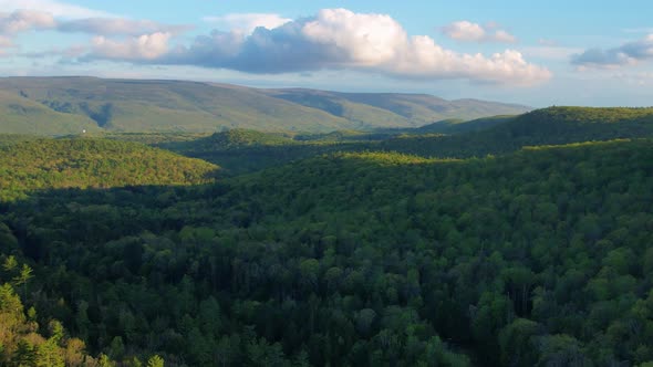 Aerial drone video footage of a vast endless forest with rolling green hills in the Appalachian Moun