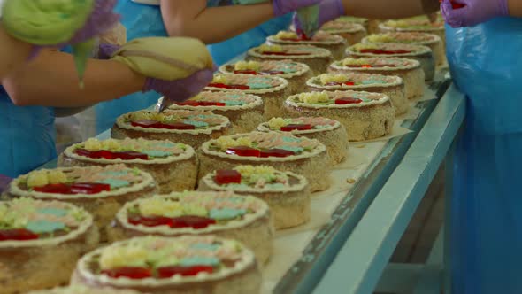 Cakes Moving on Conveyor Belt