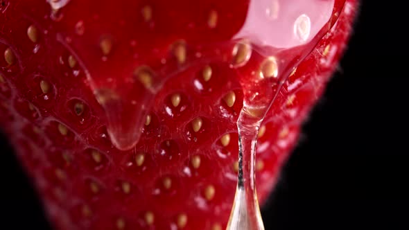 Red Ripe Strawberry with Honey or Caramel on Black Background