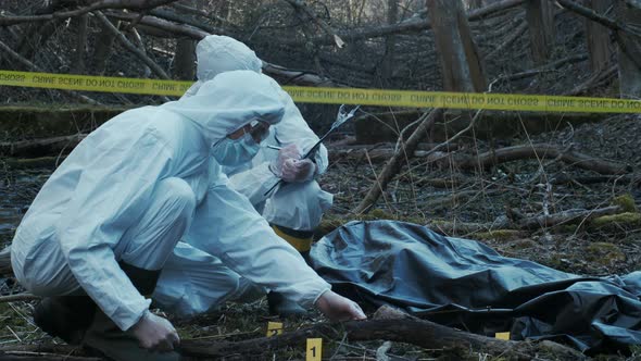 Forensic specialists working in the forest. Crime scene and police concept.