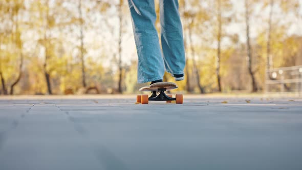 Back View of a Teenager Engaged in His Favorite Hobby Riding a Skateboard in a City Park