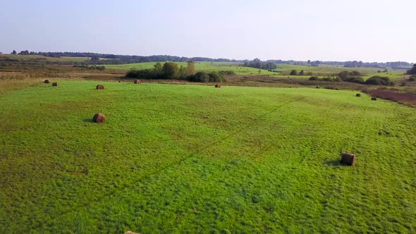 Wheat Field with Sheaves After Harvest