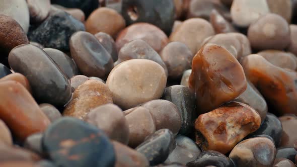 Colorful Wet Beach Stones Macro Shot