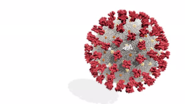 Realistic Coronavirus 2019-nCoV  SARS-CoV-2 COVID-19 alt