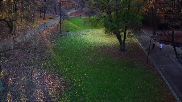 Green lawn in the autumn park.
