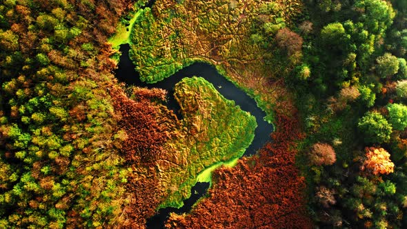 Aerial view of swamps and river in autumn, Poland