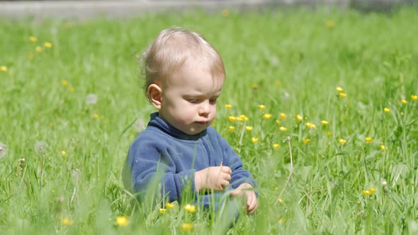 Happy Kid Playing on Green Grass on a Sunny Day 1