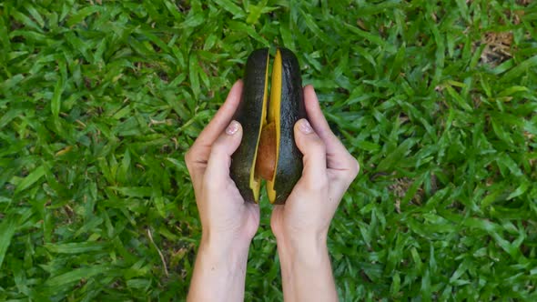 Woman Hands Hold and Open Two Cut Halves of Fresh Green Avocado on Green Grass