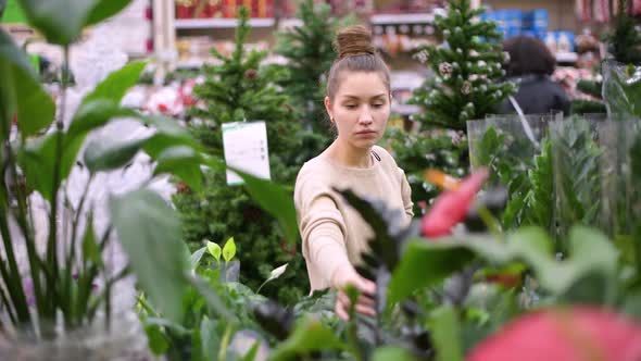 girl chooses a plant in a flower shop