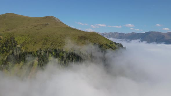 Alpine Meadows And Sea Of Fog