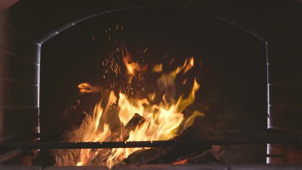 Large Brazier with Blazing Fire and Burning Logs