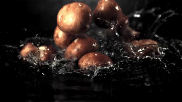 Super Slow Motion Mushrooms Fall on the Water with Splashes