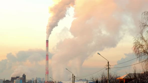 A Giant Cloud of Chemicals is Released From the Plant's Large Pipe Into the Atmosphere