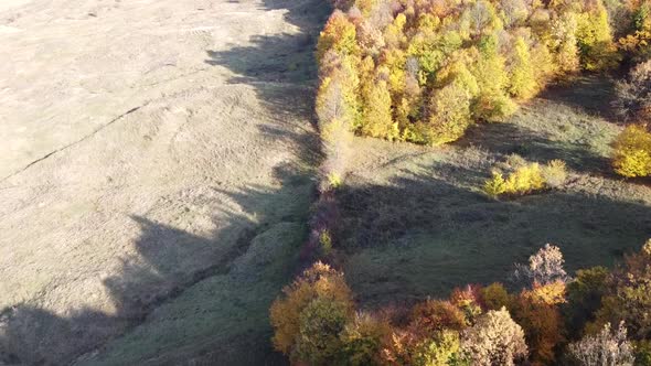 Beautiful autumn forest  from above at sunset. Aerial view of the forest in autumn season with diffe